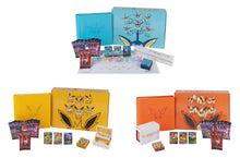 Load image into Gallery viewer, Simplified Chinese Sword & Shield Eevee Advanced Gift Box (CSH3) Jolteon