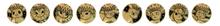 Load image into Gallery viewer, Pokemon Terastal Grand Gathering Coin Box [ Prismatic ] Simplified Chinese
